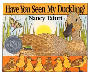 Have You Seen My Duckling? 
